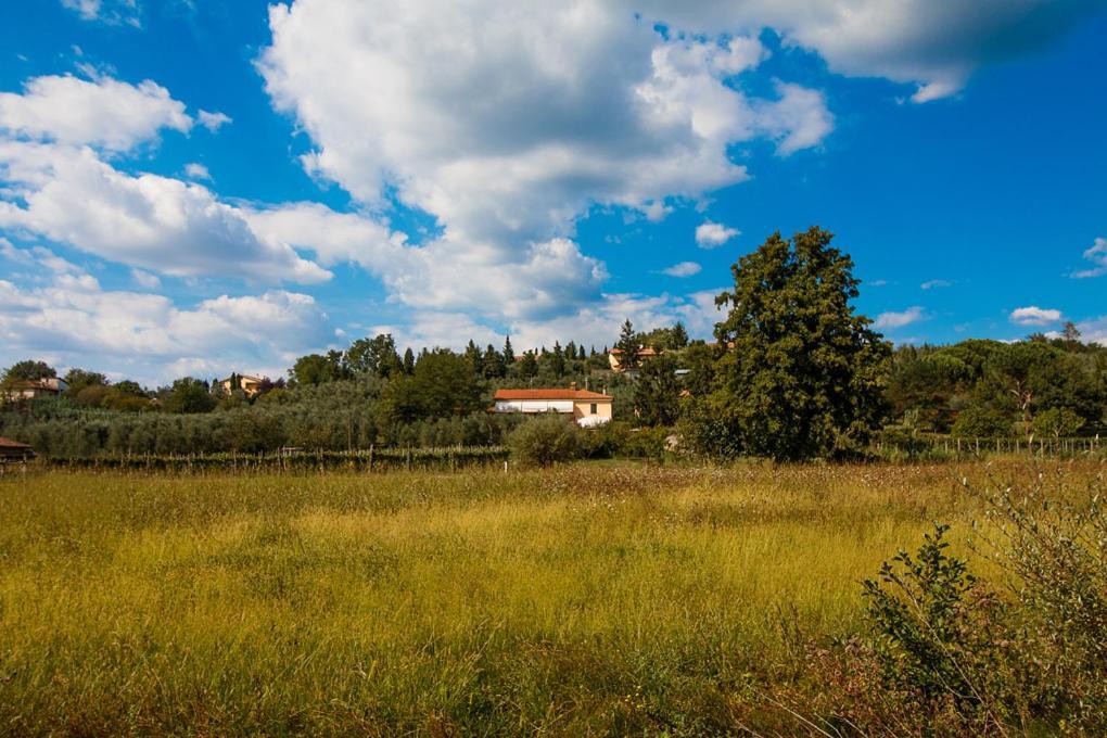 Agriturismo Terre Di Leonardo Acomodação com café da manhã Vinci Exterior foto