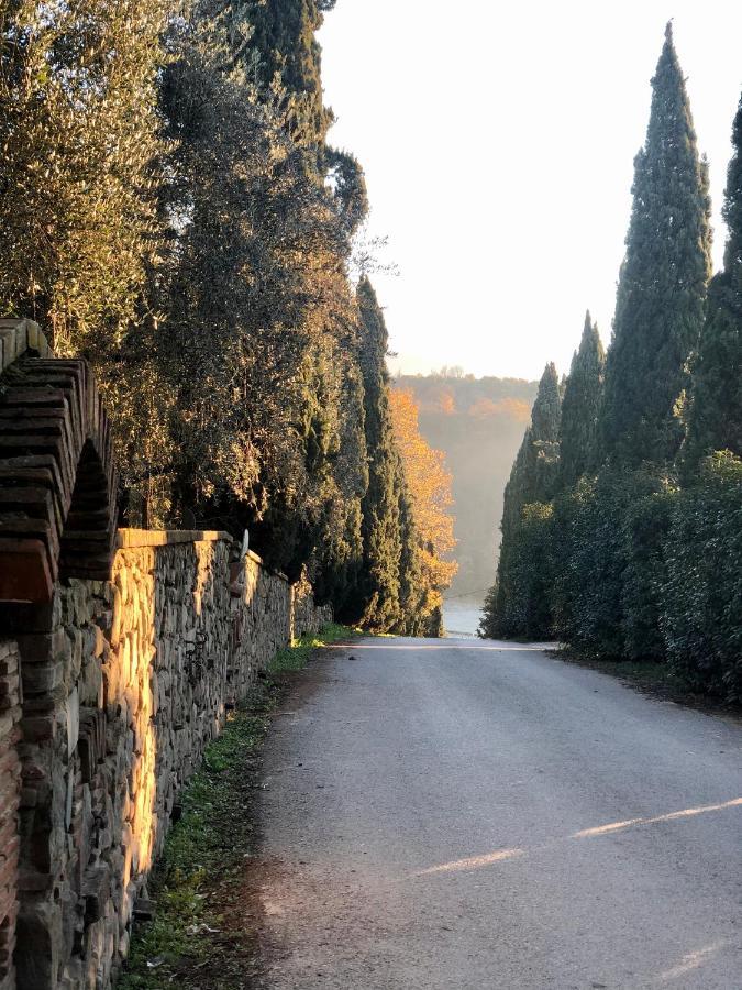 Agriturismo Terre Di Leonardo Acomodação com café da manhã Vinci Exterior foto